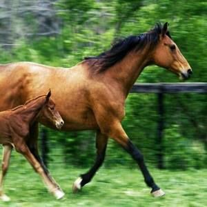 Meet your Posher, Judy